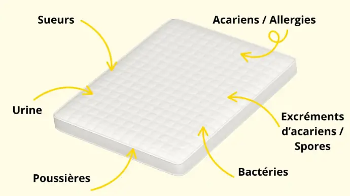 Photo d’un matelas avec flèches montrant bactéries, acariens et traces d’humidité invisibles. Illustration pour sensibiliser à l’importance du nettoyage de matelas en Île-de-France pour un sommeil sain.